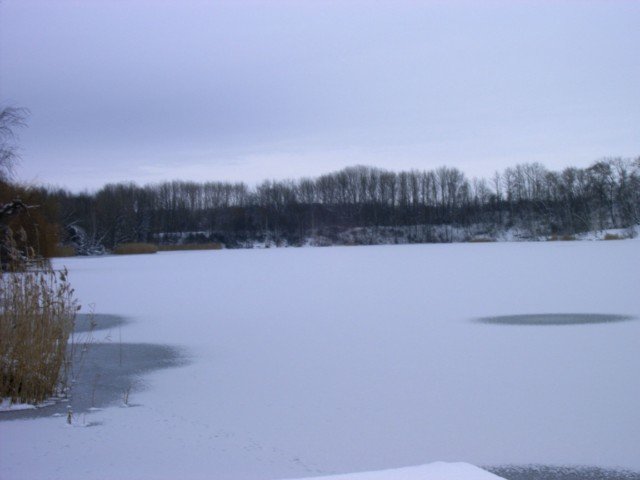Hainbergsee im Winter